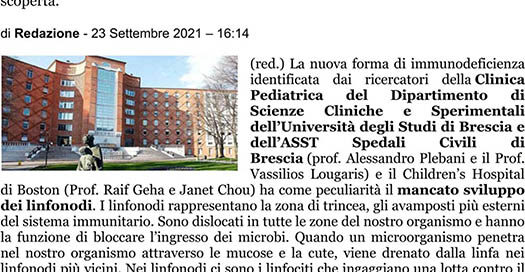 Articolo rassegna stampa