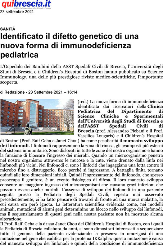 Articolo rassegna stampa