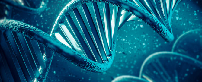 Rappresentazione 3d del DNA