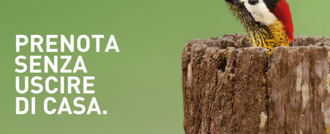 Campagna riapertura ambulatori