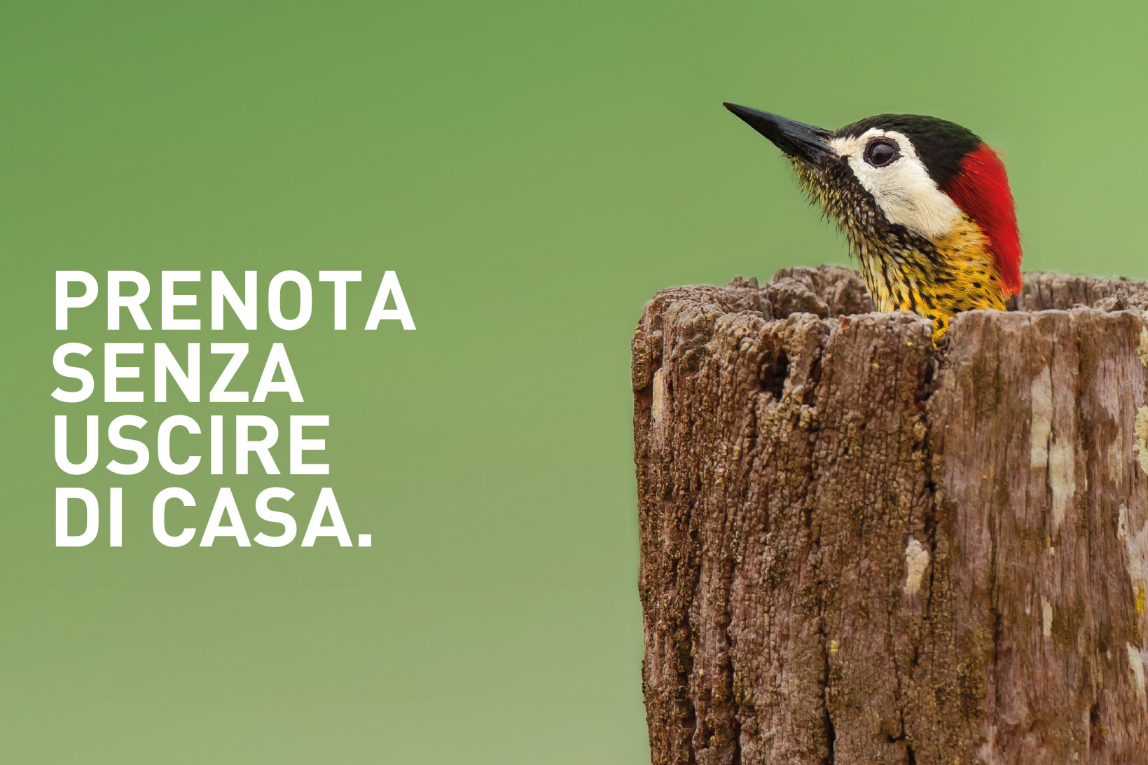 Campagna riapertura ambulatori