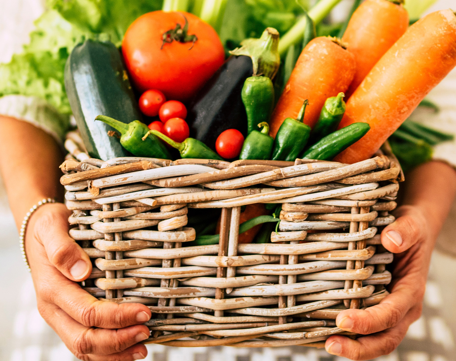 Concetto di nutrizione alimentare sana e concetto di proprietario di un negozio agricolo con una donna che tiene in mano un secchio pieno di verdure fresche